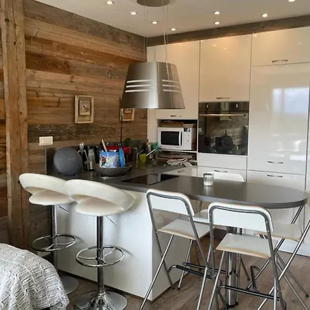 Charming With Swimming Pool In Argentiere Apartment Chamonix
